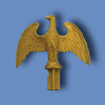 The gold gilt finish plastic slip-fit eagle that comes with the basic 6 foot flag pole set from your smALL FLAGs store.