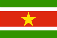 The flag of Surinam