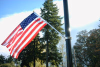 Individual flag on pole.